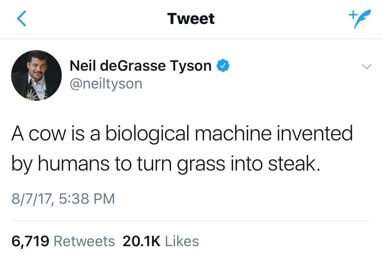 NDT on Cattle